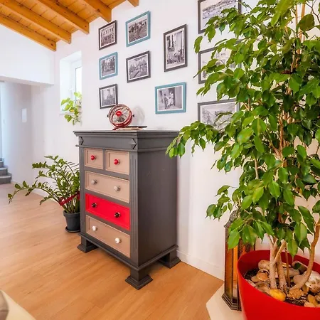 דירה Downtown Lady Terrace *