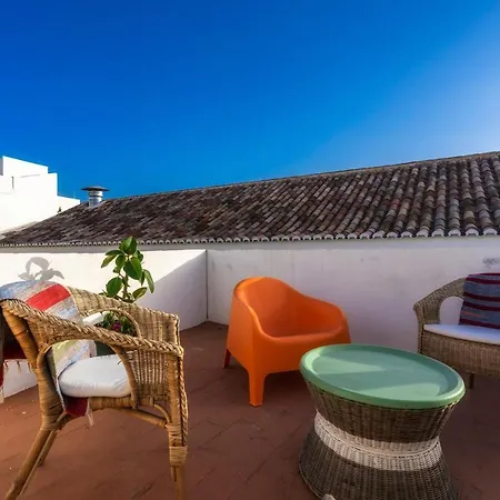 Downtown Lady Terrace