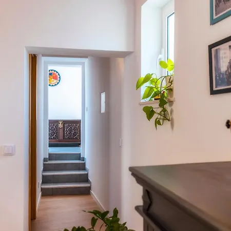 Downtown Lady Terrace פארו