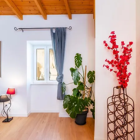 Downtown Lady Terrace Apartment